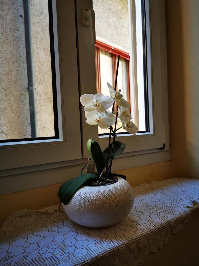 Casa Ida Villa Cannobio Bagian luar foto